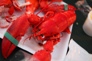 lobster allergy crayfish